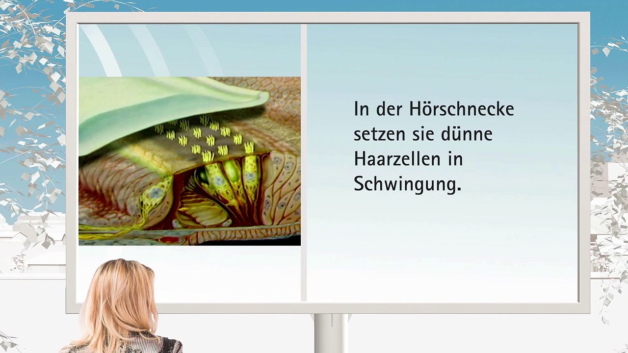 Wie wir hören und was Hörverlust bedeutet