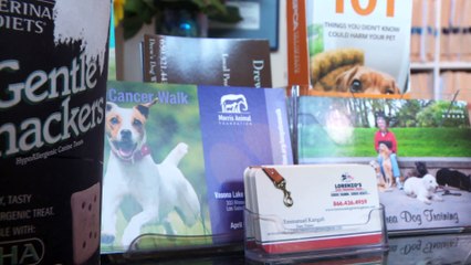 Welcome to Alta View Animal Hospital