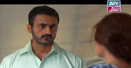 Baba Ki Rani Episode 10 on Ary Zindagi in High Quality 17th May 2016