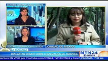 Autoridades mexicanas descartan debate sobre legalización de la amapola con fines medicinales