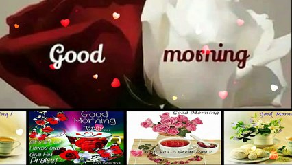 Good Morning Wishes,Good Morning Greetings,Wallpapers,E-card,Good Morning Whatsapp video