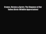 [Read PDF] Cranes Herons & Egrets: The Elegance of Our Tallest Birds (Wildlife Appreciation)
