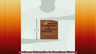 Enjoyed read  Business Enterprise in American History