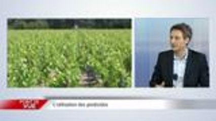 Point de Vue - Noël Mamère