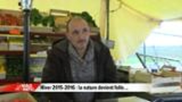 Le Mag' de l'info - Hiver 2015-2016 : la nature devient folle