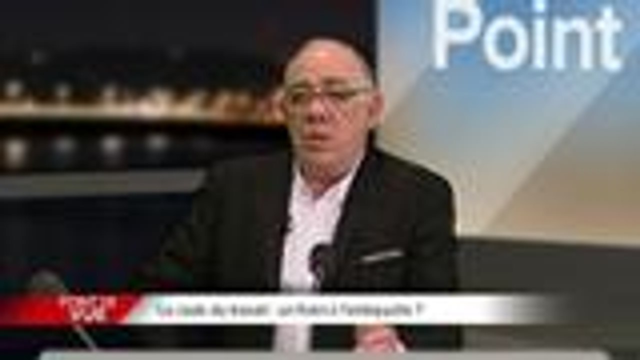 Point de Vue - Alain DELMAS