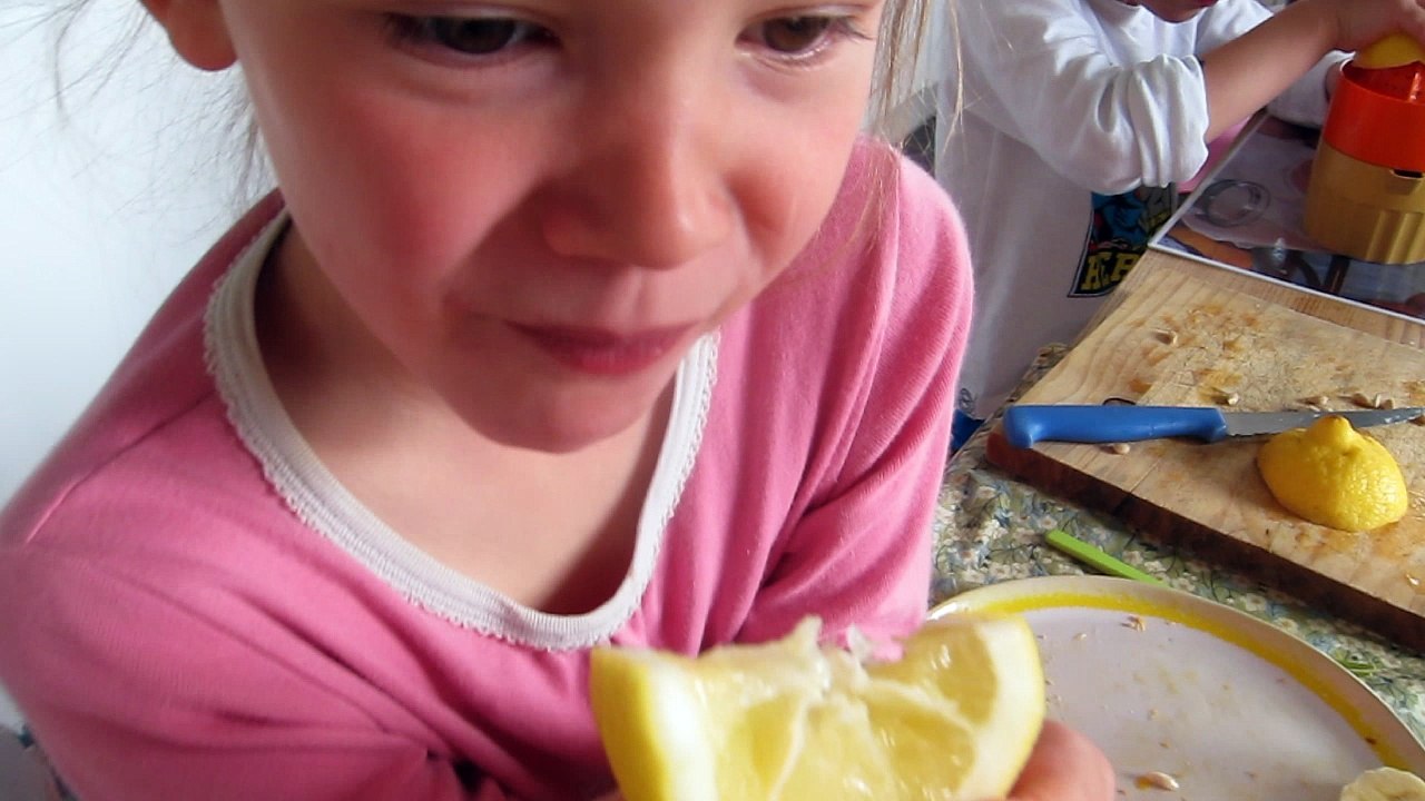 MVI_2703a&h&i_citron++