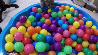 Boomer In...THE BALL PIT