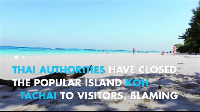 Thailand is closing Koh Tachai island before tourists ruin it forever