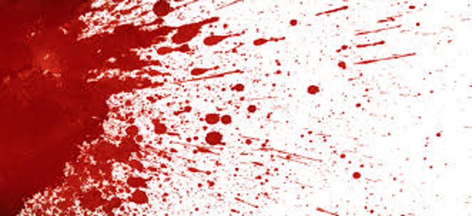 The three individual components that make up blood: Red Blood Cells& White Blood Cells & Platelets