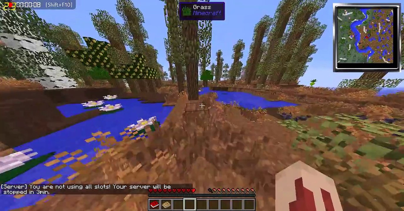 Minecraft