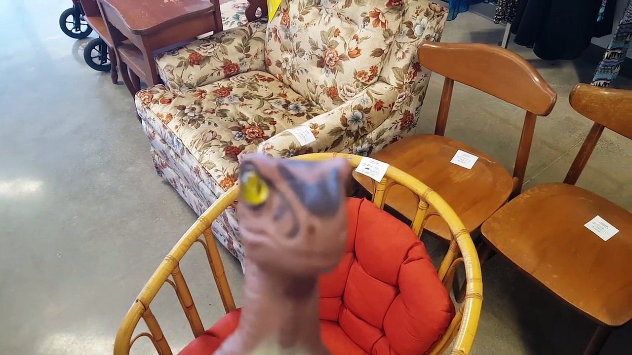 Bob the Raptor - Visits and Reviews - Goodwill - Thrift Store Bargain Hunting