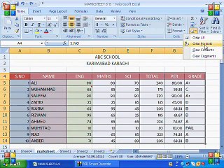 MS Excel Tutorial Urdu Part 11