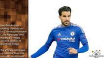 Real Madrid plan shock swoop for Chelsea star Cesc Fabregas.