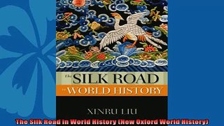 For you  The Silk Road in World History New Oxford World History