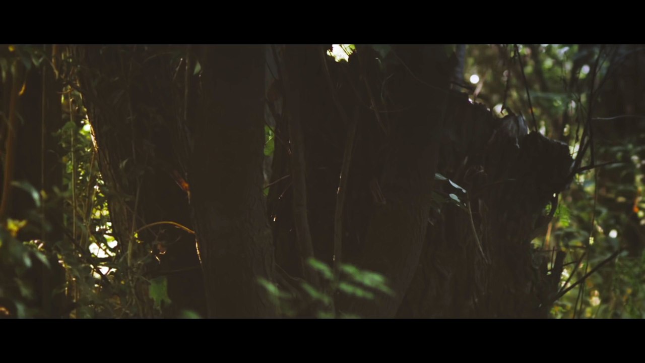 Rescate - Indudablemente  (Videoclip oficial)