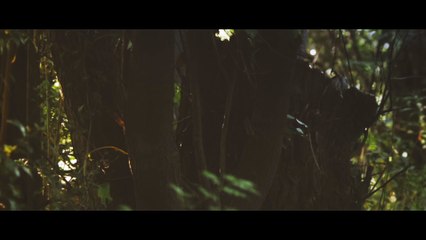 Rescate - Indudablemente  (Videoclip oficial)