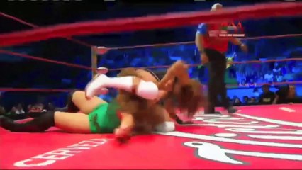 AAA - 5/07/2016 Lucha Libre Pro Wrestling