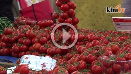 Petani Turki rugi teruk, Russia bertindak balas