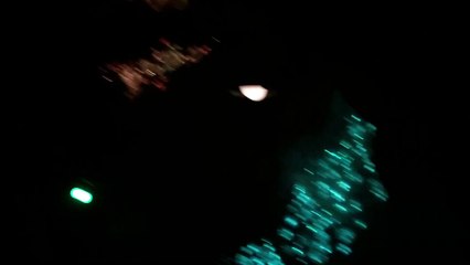 Journey to the Centre of the Earth ride @ Tokyo DisneySea