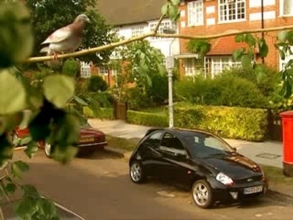 Pub ford humour