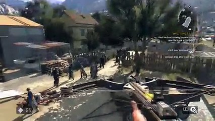 Dying light the following