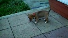 Marli_web2