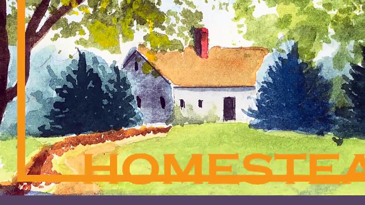 How to Sell a Home that Need Repair - Homestead Road