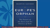 Enjoyed read  Europes Orphan The Future of the Euro and the Politics of Debt