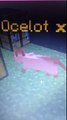 I am bored but here is a glitches out cat in Minecraft