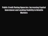 Read Public Credit Rating Agencies: Increasing Capital Investment and Lending Stability in