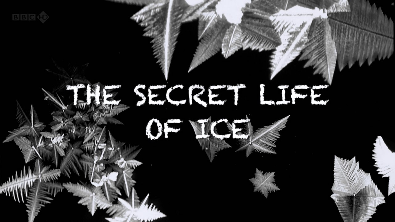 BBC Тайная жизнь льда / The Secret Life of Ice...