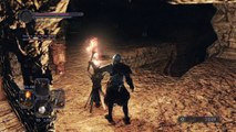 Dark Souls 2: Scholar Of The First Sin - How To: Get Tricked Hard m8.