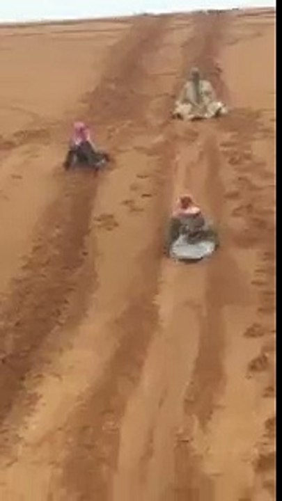 Funny Gulf clip