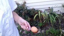The egg spoon challenge part one
