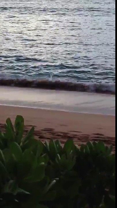 Spring on Maui Retreat with Lama Surya Das