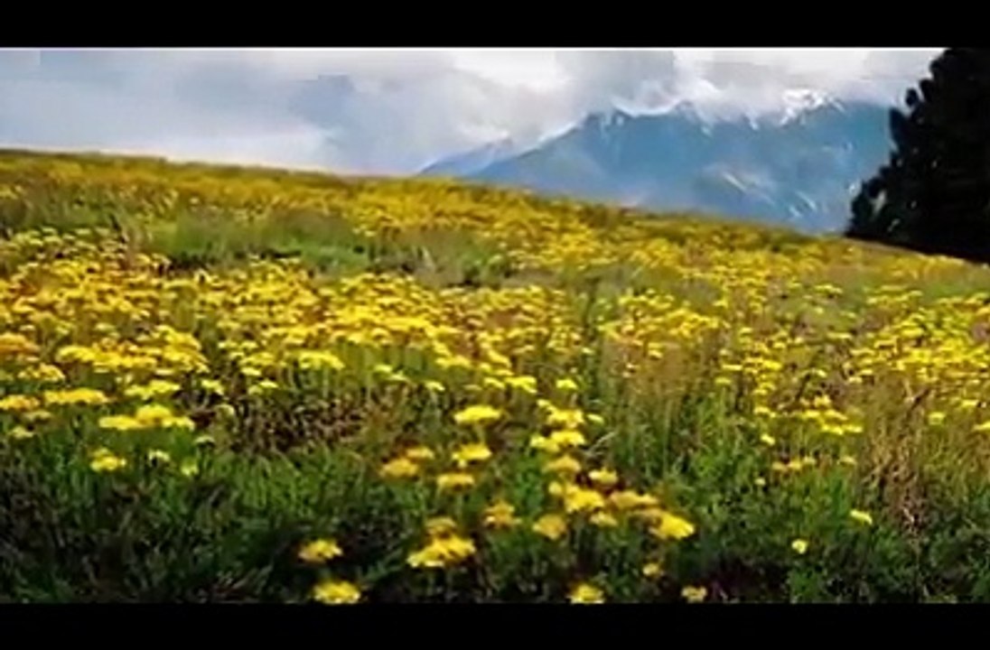 This Is ‪‎Pakistan‬ , .Pakistan can become one of the world's largest economy in future