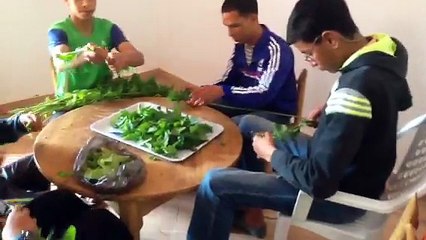 Séance de tri et de mise en condition pour le séchage des plantes aromatiques