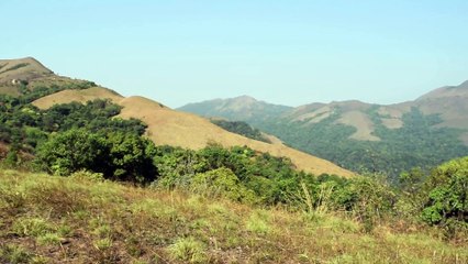 Mekanagadde Homestay in Chikmagalur / Sakleshpur