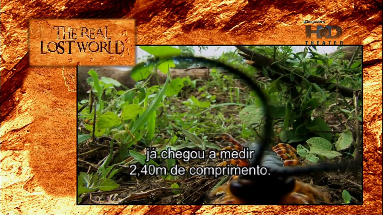www.documentarioshd.tk