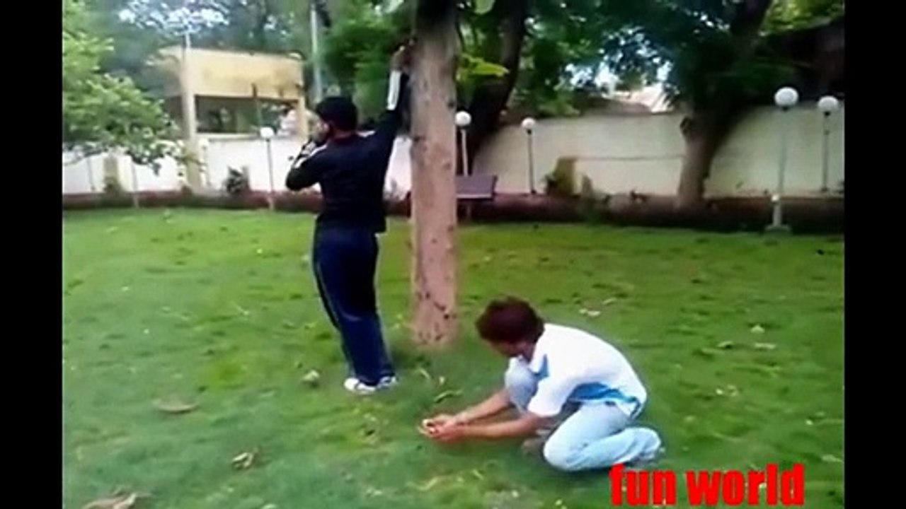 funny video