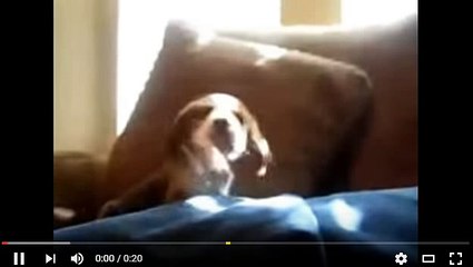 부산출장안마 OlO☆2165☆2776 광안리출장$서면출장$해운대출장 출장만남,출장업체