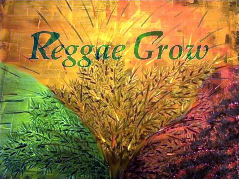 JIMMY CLIFF  -  GOING BACK WEST - Reggae