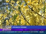 Dnevnik, 17. maj 2016. (RTV Bor)