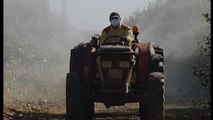 La Commission Européenne va décider du sort du glyphosate, un pesticide potentiellement cancérigène - Le 18/05/2016 à 11h05