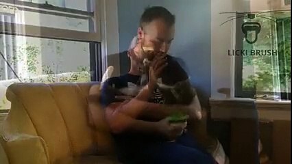 La brosse « Licki Brush » pour lécher votre chat