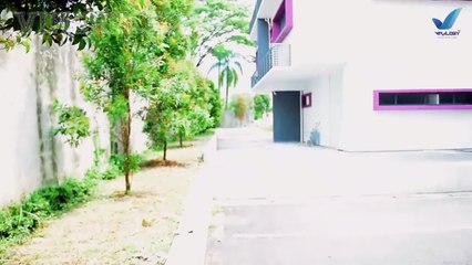 Zukieee - newest and oldest Compilation of zukieee