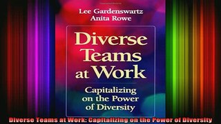 READ book  Diverse Teams at Work Capitalizing on the Power of Diversity Free Online
