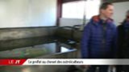 L'édition de la mi-journée - Vendredi 22 janvier