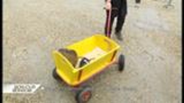 Bonjour Bonsoir - Le cirque Gruss